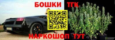 гашик Канаш